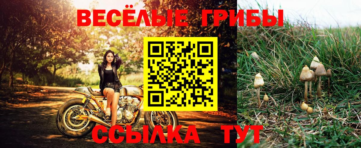 Галлюциногенные грибы Psilocybe  Вход с VPN  наркотики  Ливны 